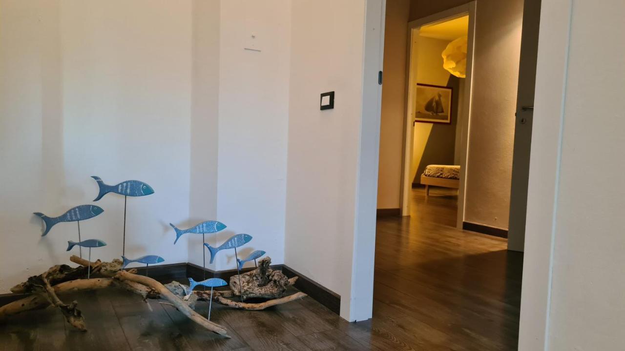 Spazio-Confort-Fitness Piombino Eksteriør billede