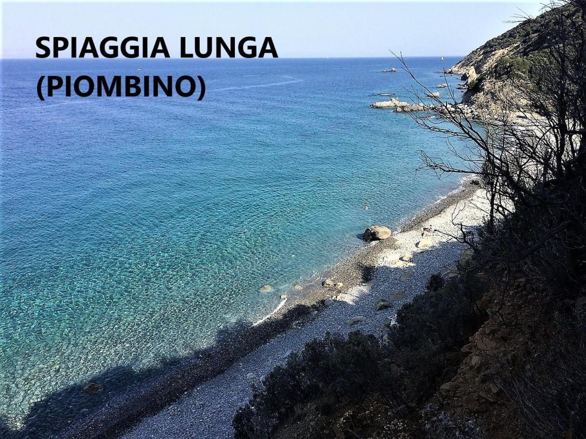 Spazio-Confort-Fitness Piombino Eksteriør billede